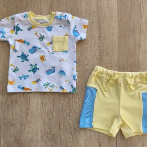 Colorful Playtime Set